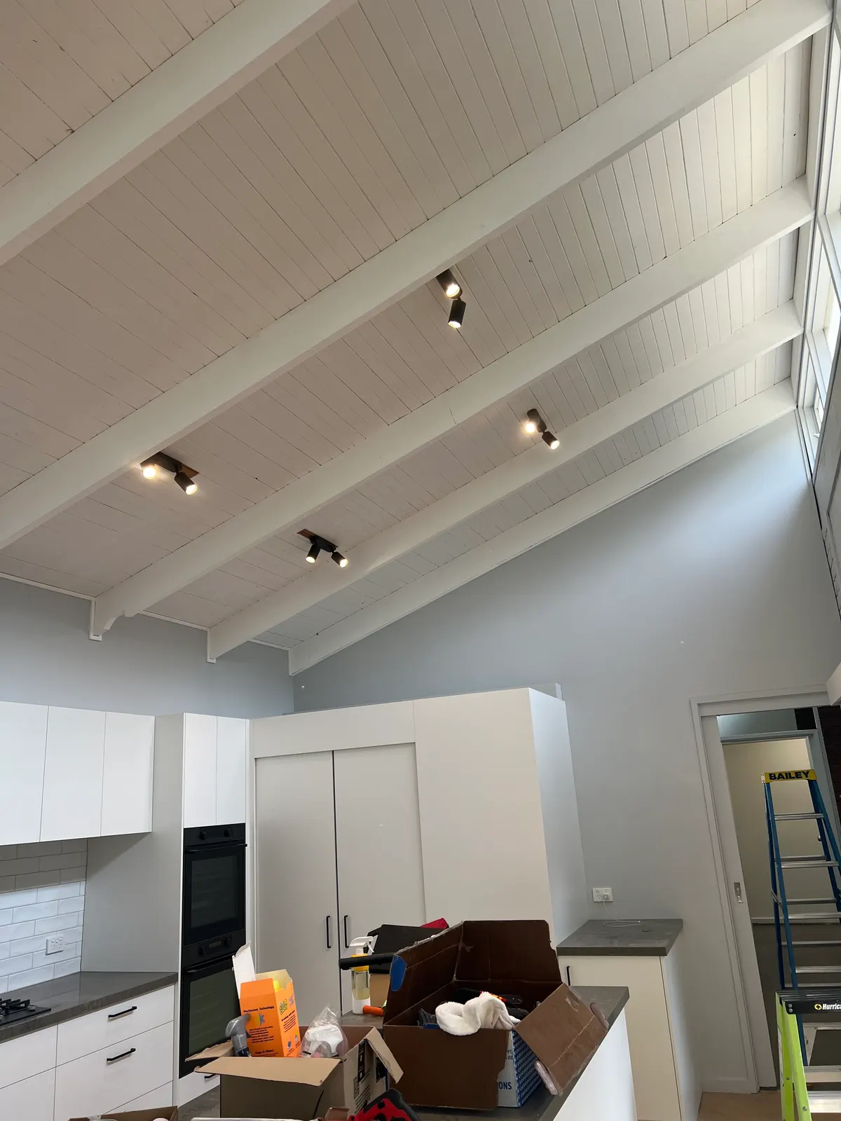 Adjustable Ceiling Spotlights — Eltham
